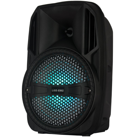 Cassa acustica portatile 10" 20W Luce LED Bluetooth/Radio/USB